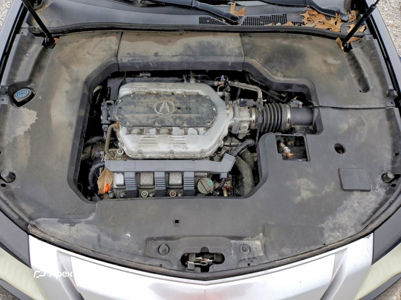 Acura TL 2011