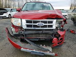 Ford Escape 2011