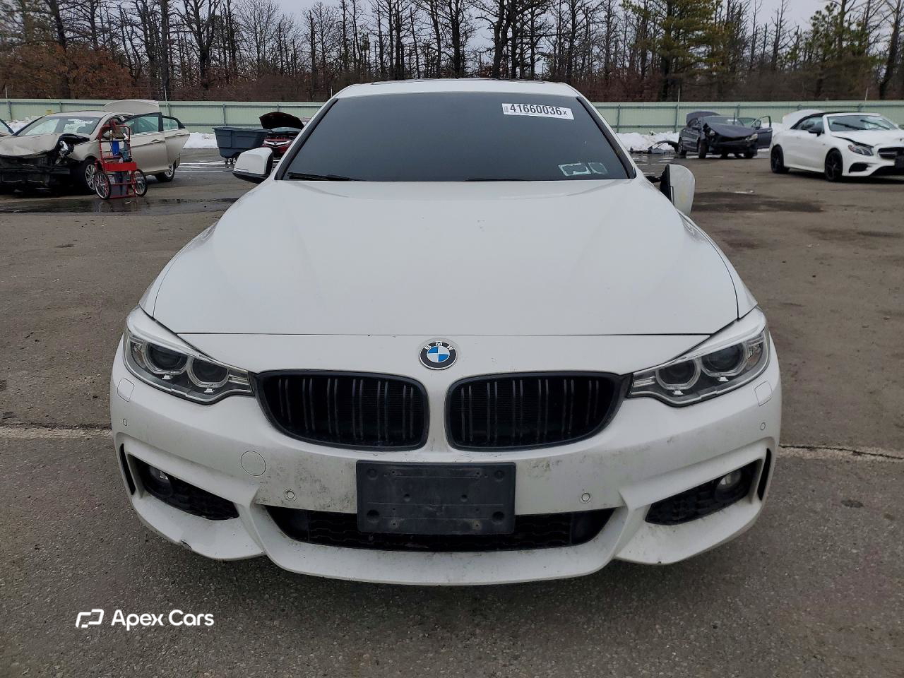 BMW Series 4 2017