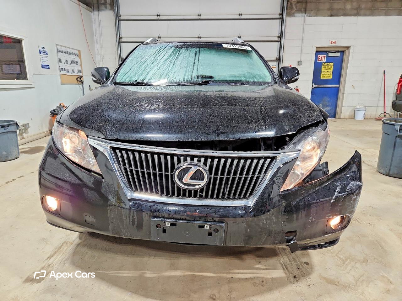 Lexus RX 2010