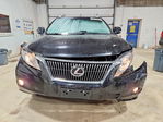 Lexus RX 2010