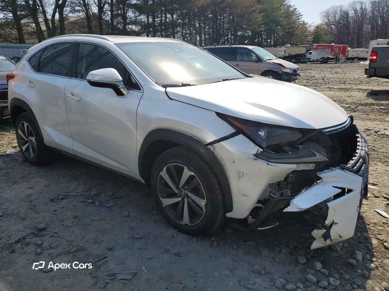 Lexus NX 2020