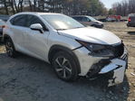 Lexus NX 2020