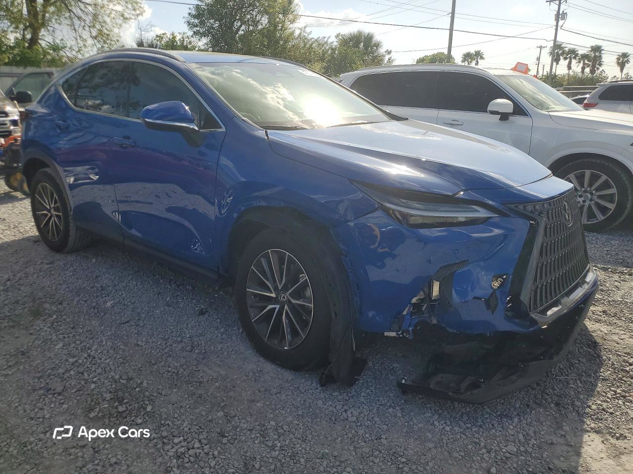Lexus NX 2025