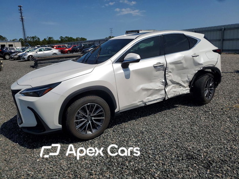 Lexus NX 2024 - Image 1 of 14