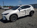 Lexus NX 2024