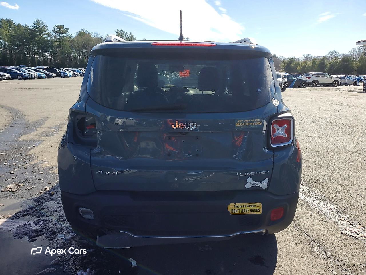Jeep Renegade 2017