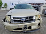 Ford Escape 2012