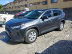 Toyota RAV 4 2021