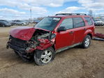 Ford Escape 2009