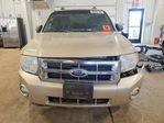 Ford Escape 2010