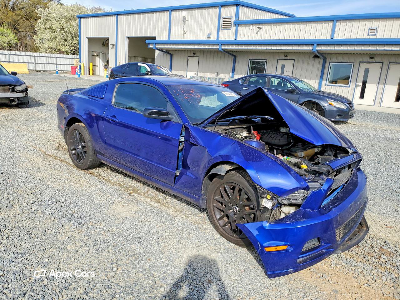 Ford Mustang 2014