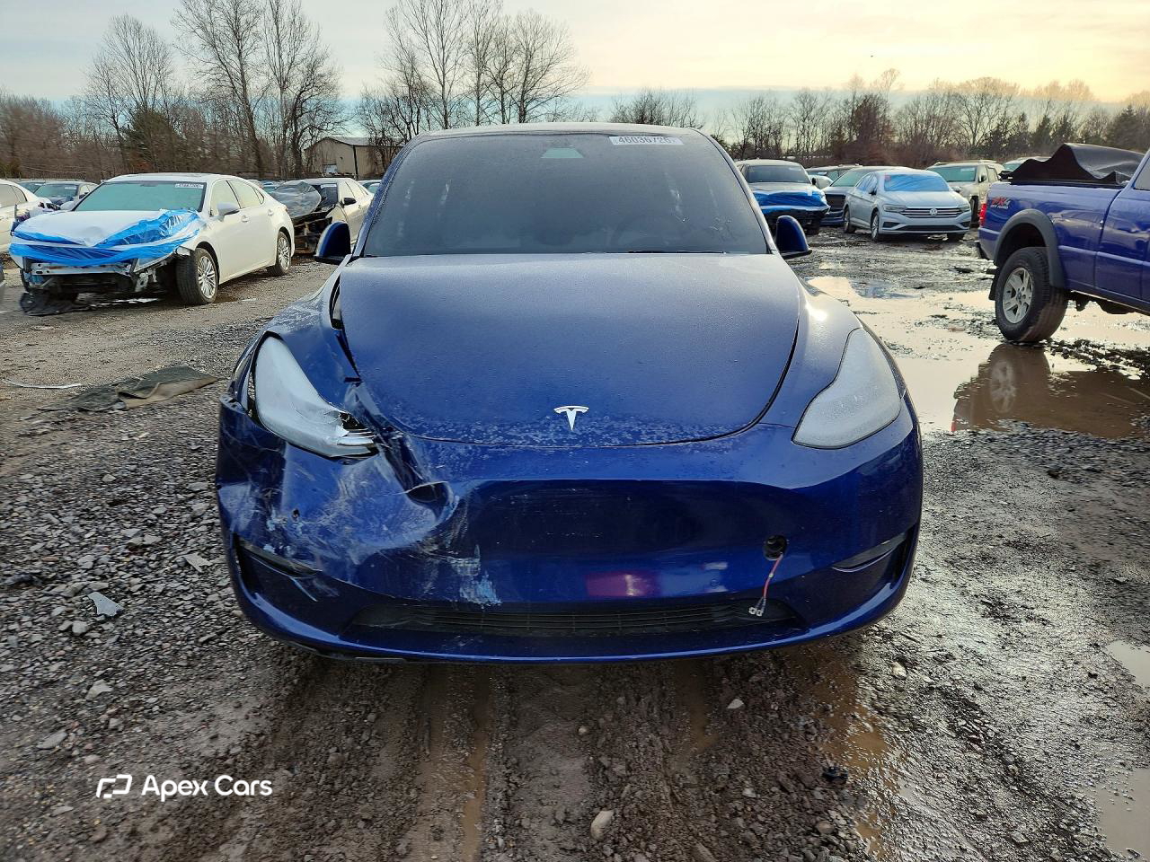 Tesla Model Y 2021