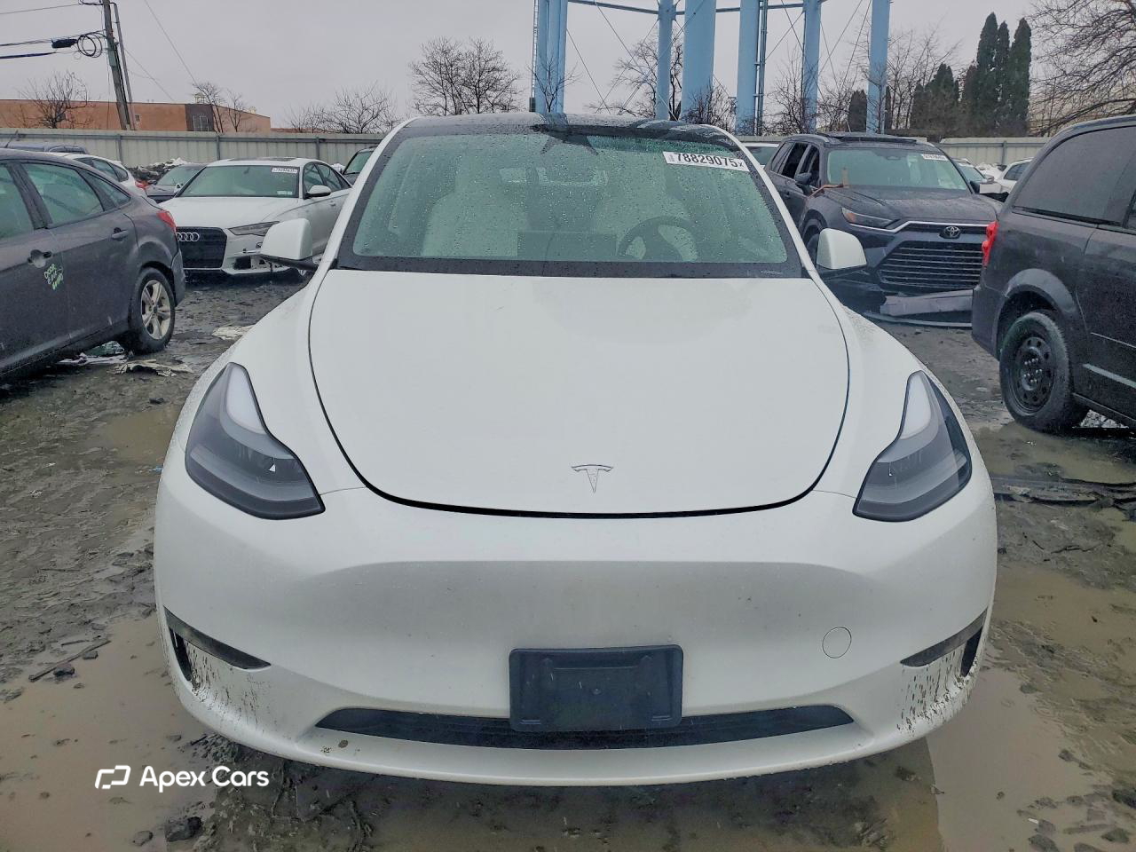 Tesla Model Y 2024