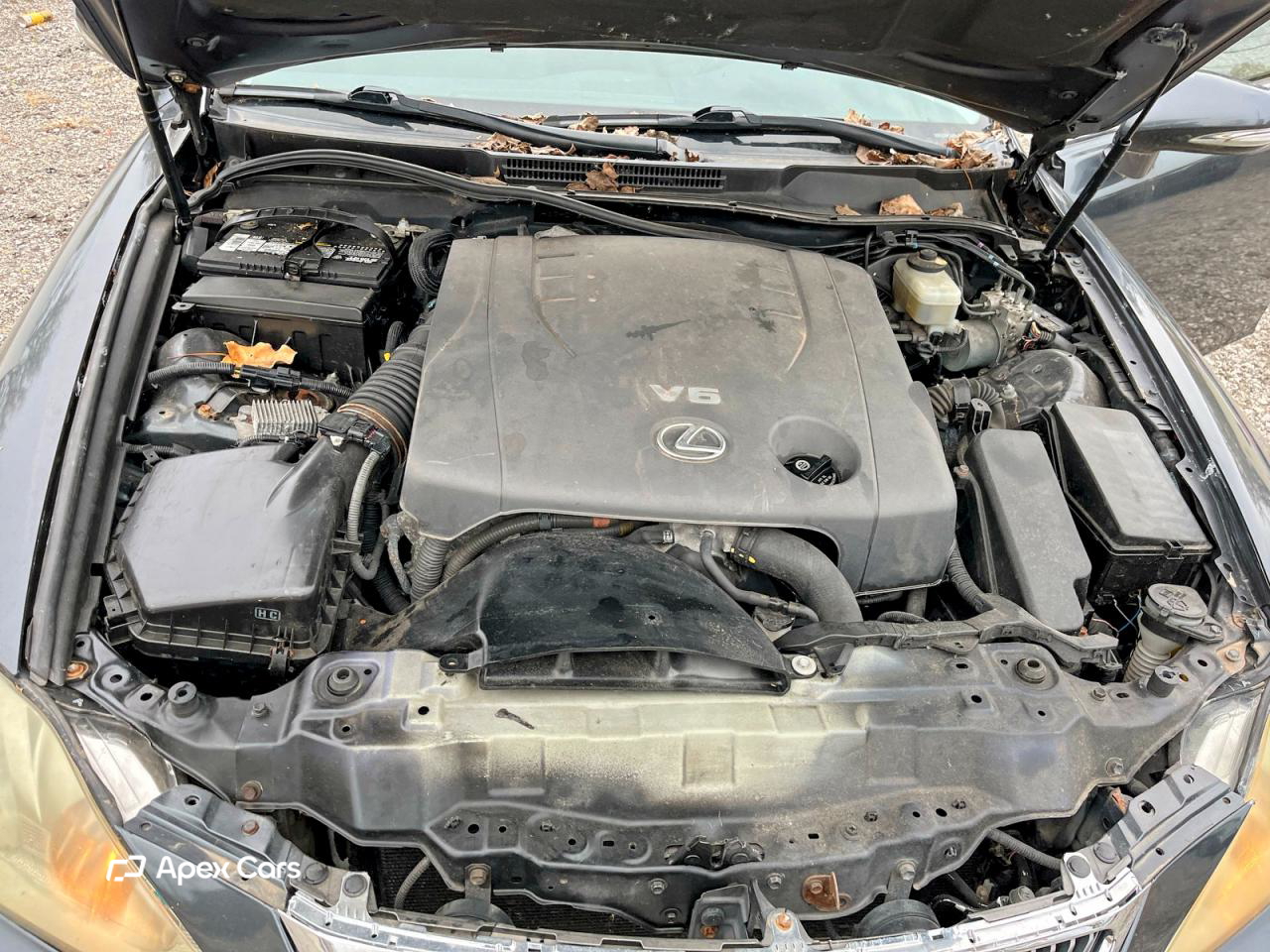 Lexus IS 2009