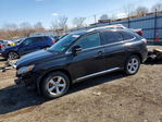 Lexus RX 2010