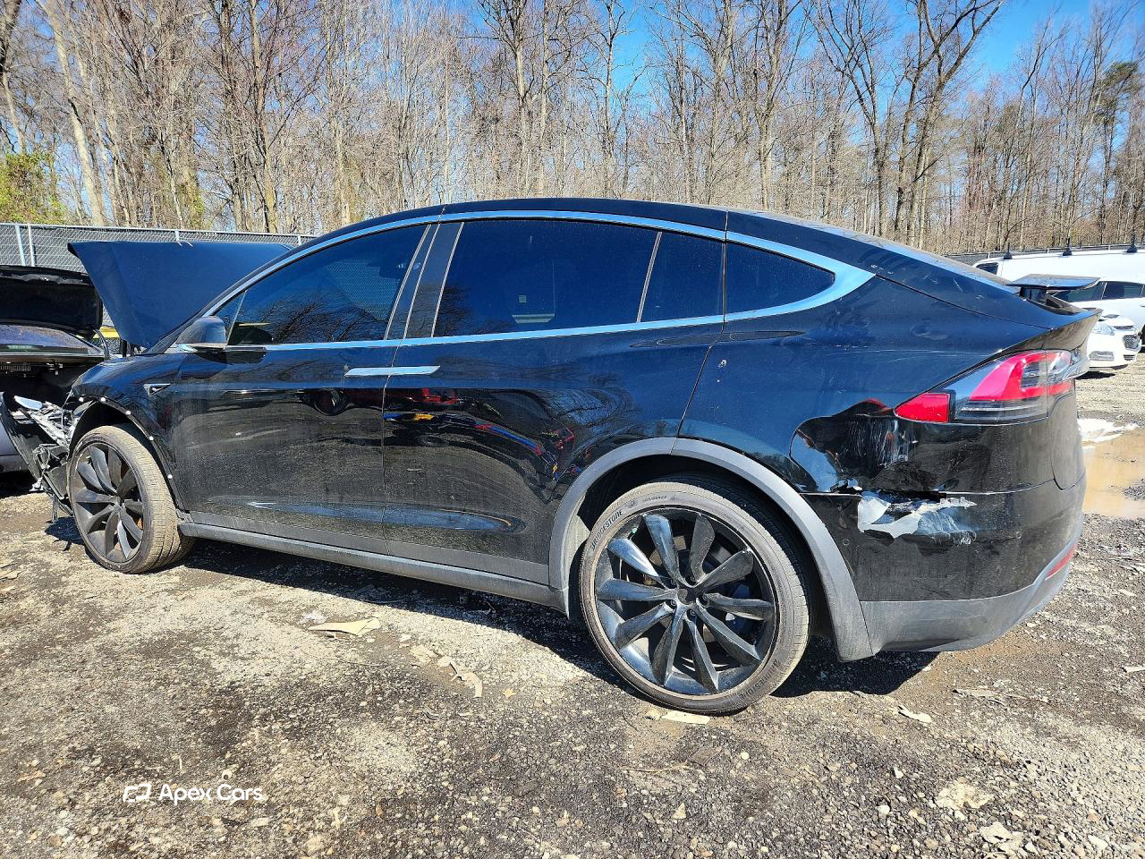 Tesla Model X 2019