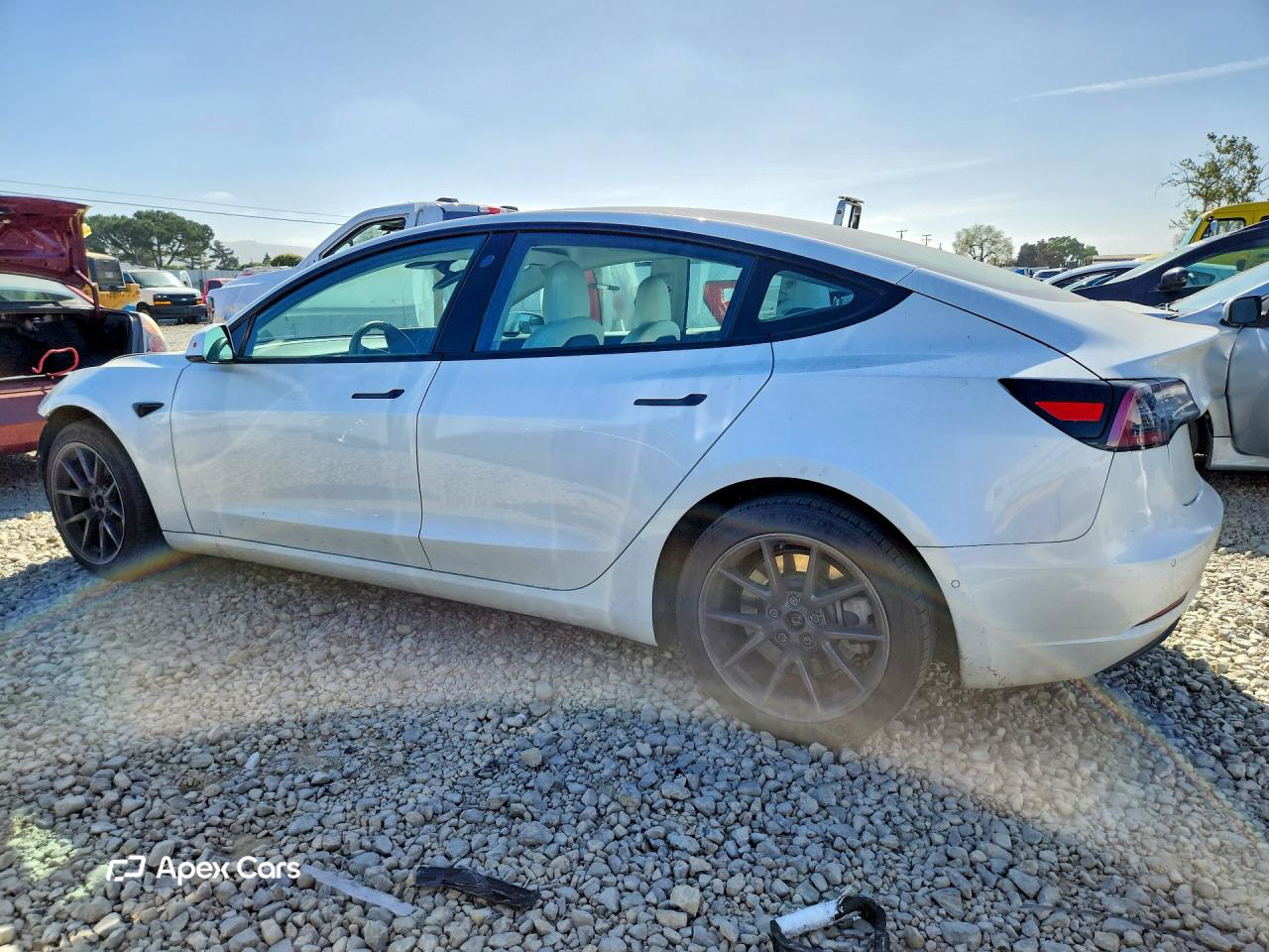 Tesla Model 3 2021