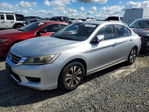 Honda Accord 2013