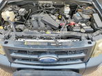 Ford Escape 2008