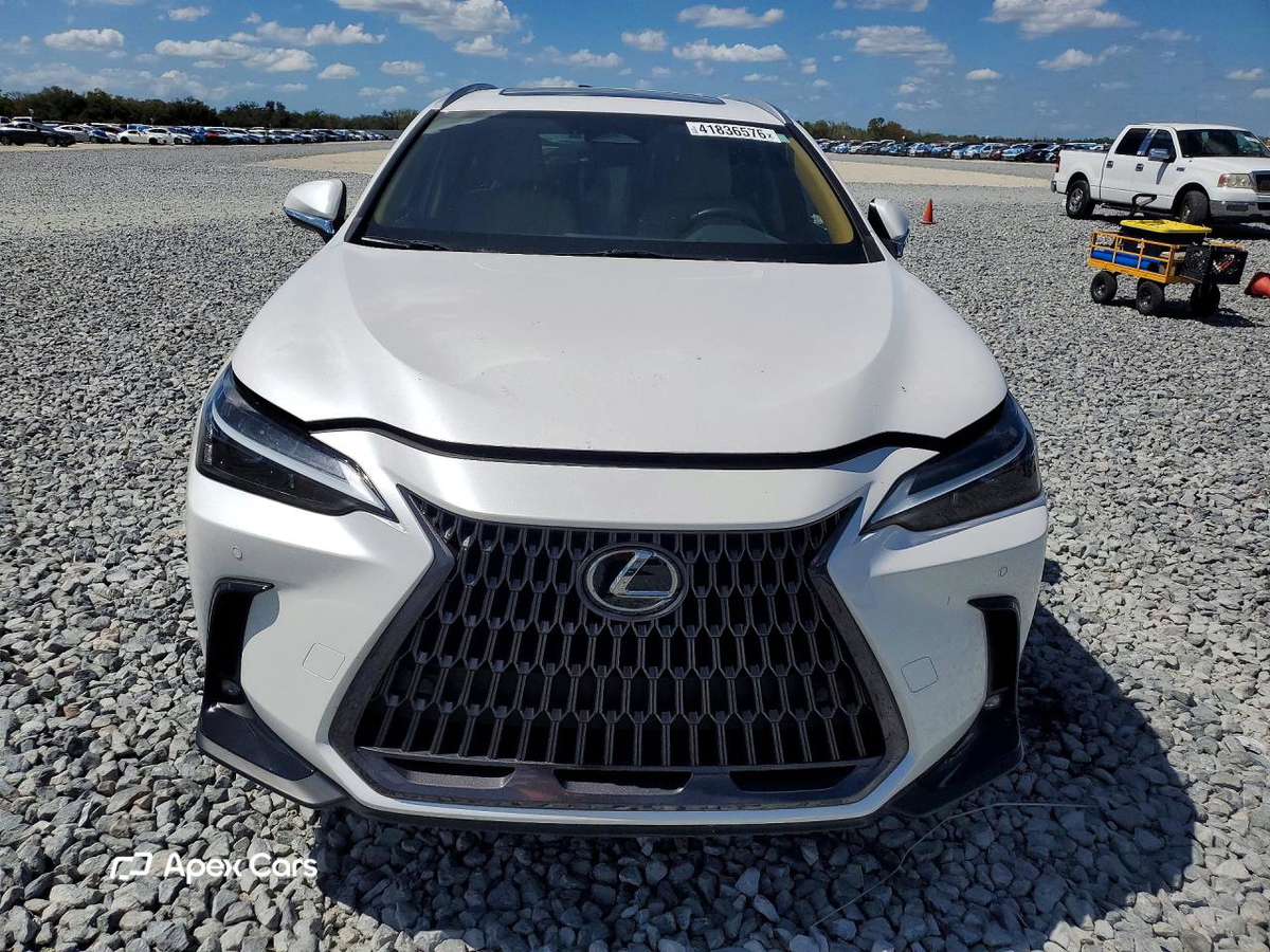 Lexus NX 2022