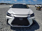 Lexus NX 2022