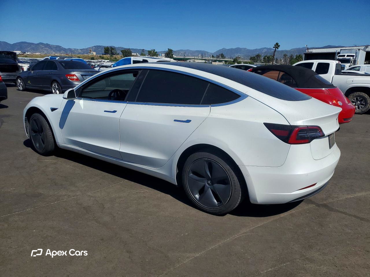 Tesla Model 3 2019