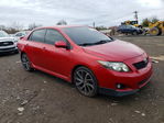 Toyota Corolla 2010