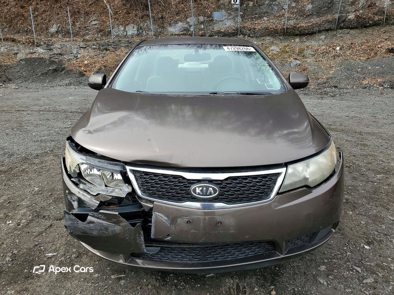 Kia Forte 2013