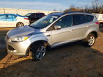 Ford Escape 2014