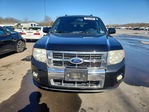 Ford Escape 2011