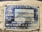 Jaguar  1965