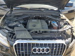 Audi Q5 2016
