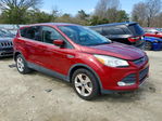 Ford Escape 2016
