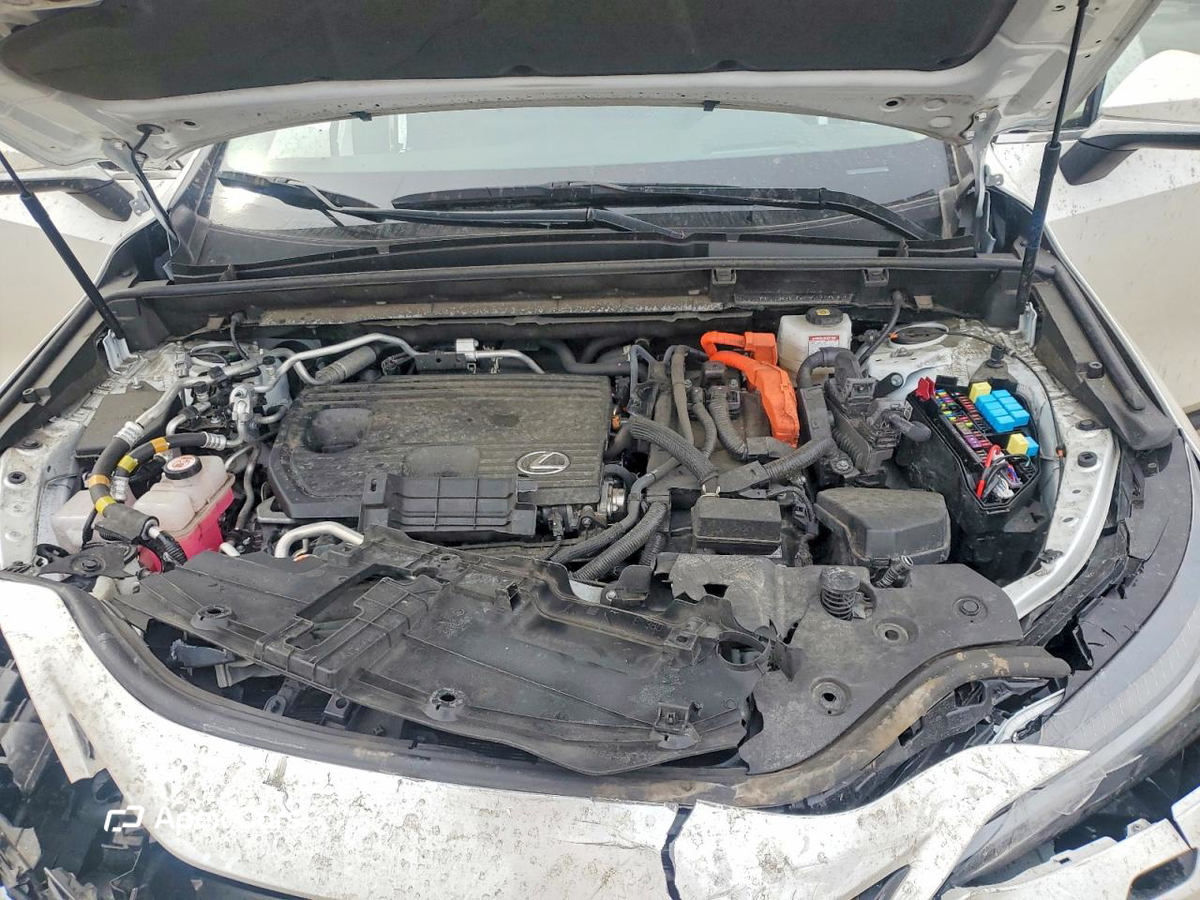 Lexus NX 2023