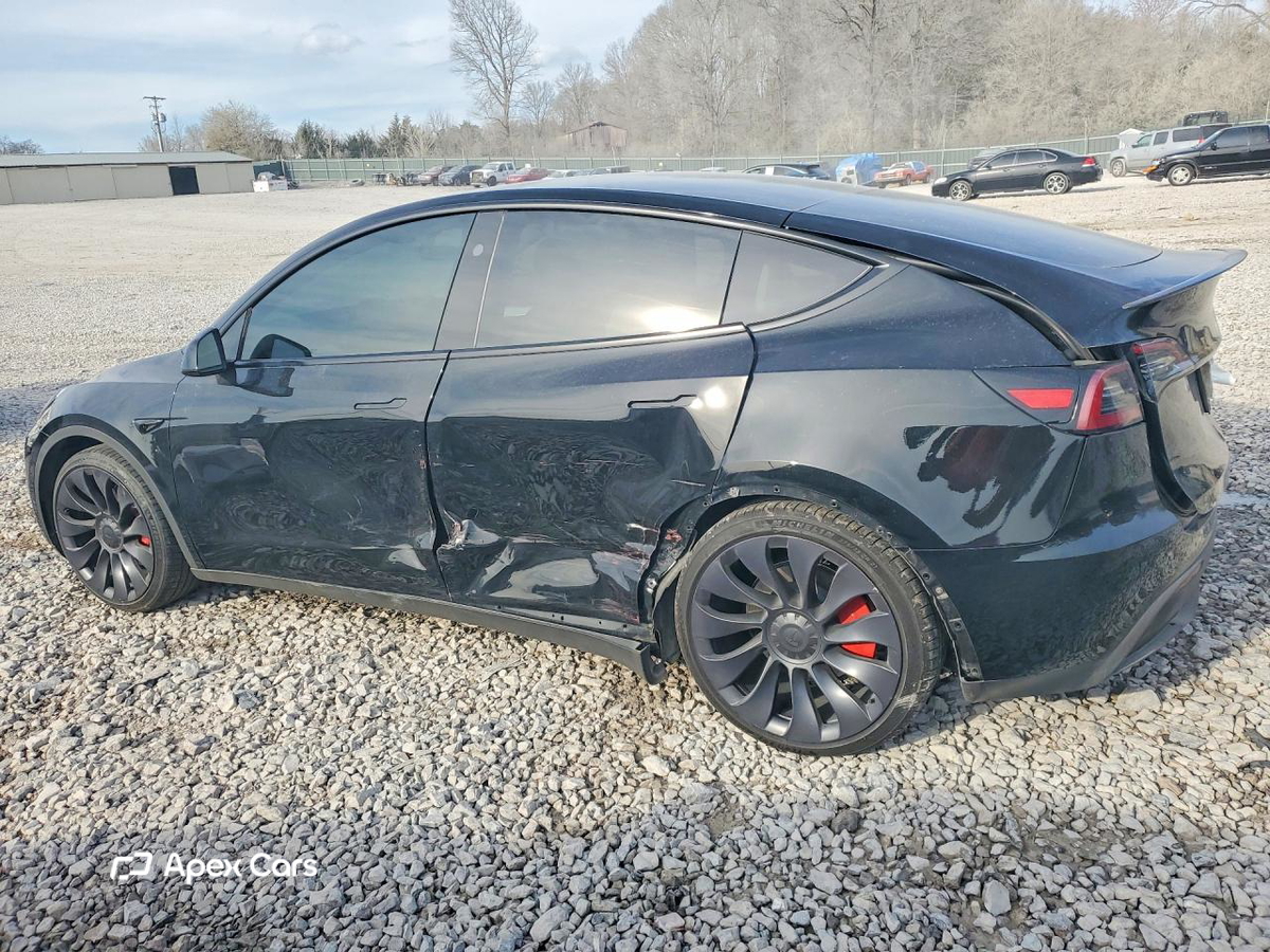 Tesla Model Y 2024