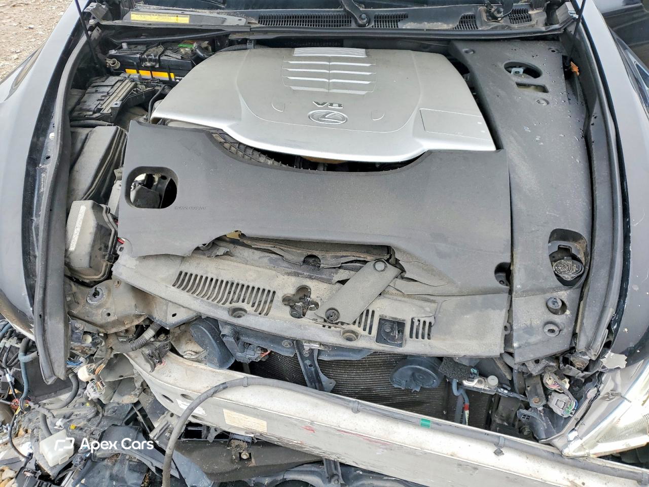 Lexus LS 2008