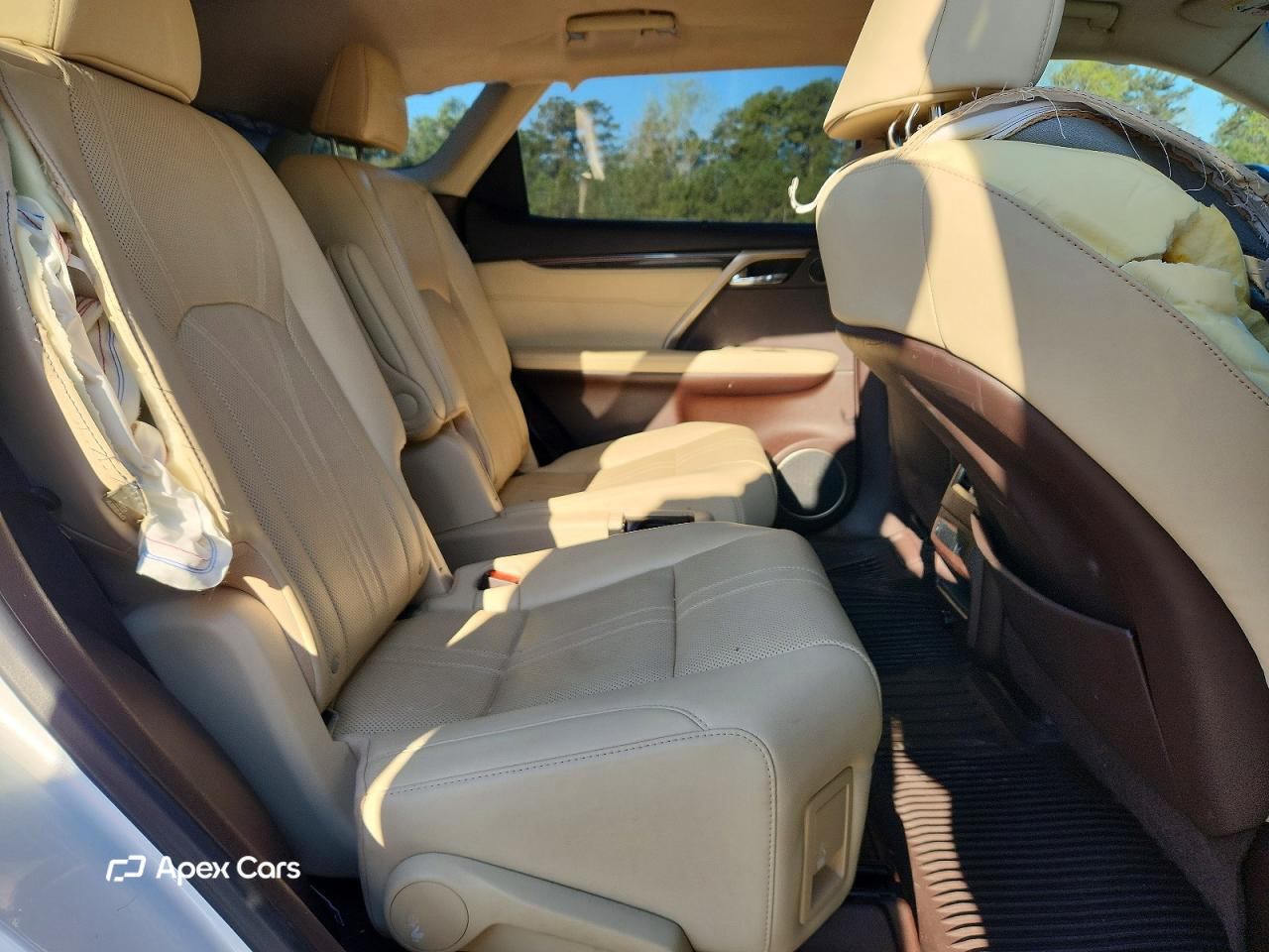 Lexus RX 2019