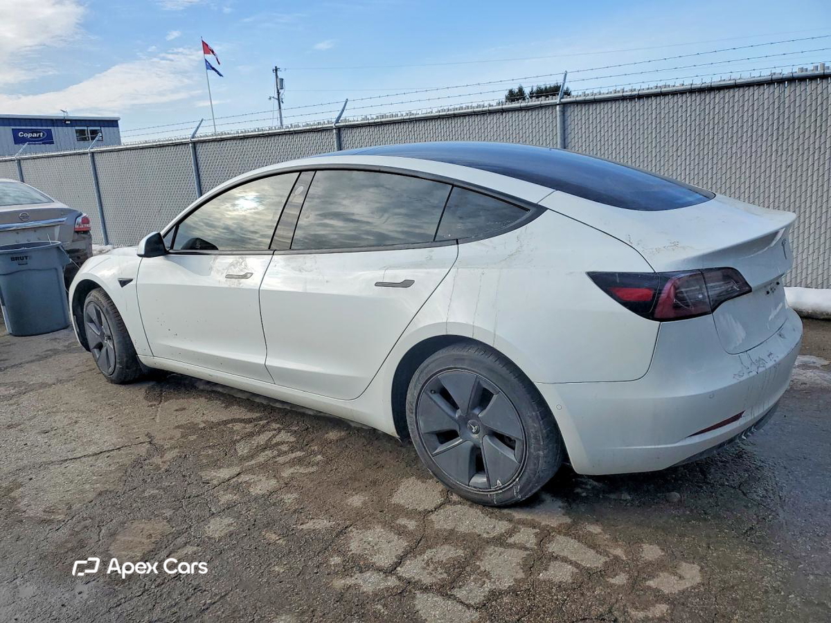 Tesla Model 3 2021