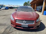 Nissan Maxima 2010