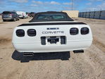 Corvette 1991