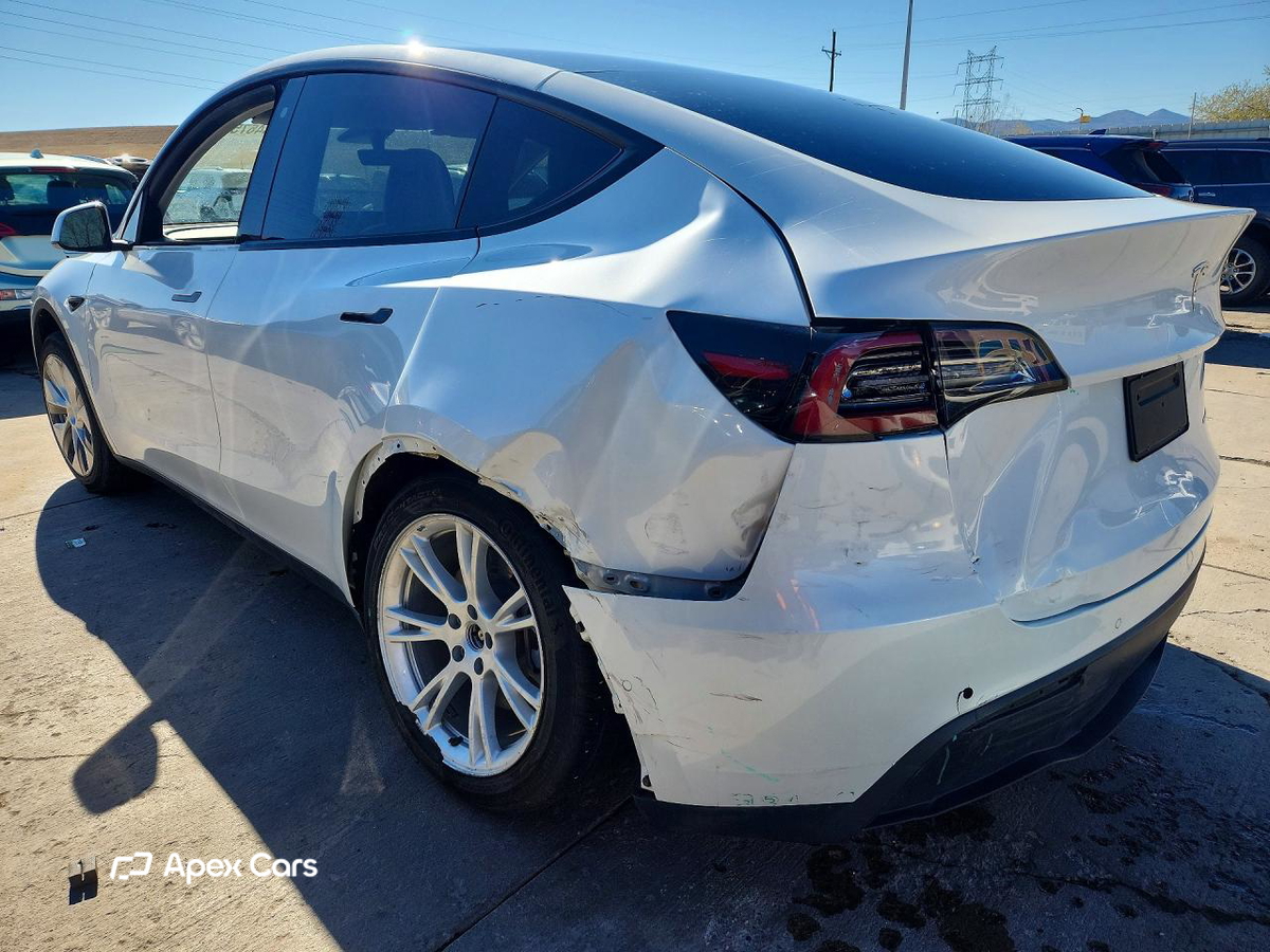 Tesla Model Y 2020