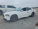 Dodge Charger 2014