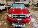 Ford Escape 2010
