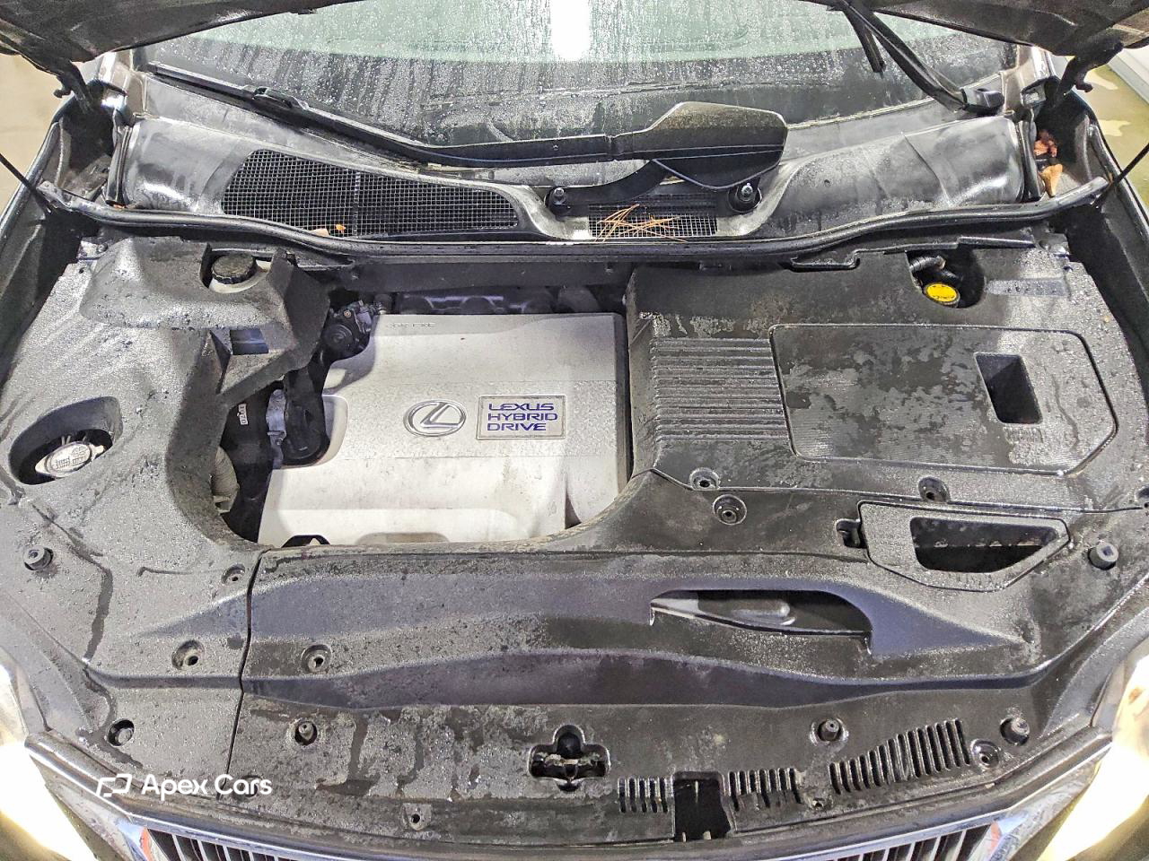 Lexus RX 2010