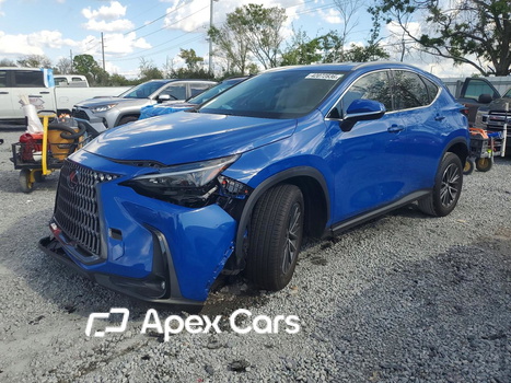 Lexus NX 2025 - Zdjęcie 1 z 14