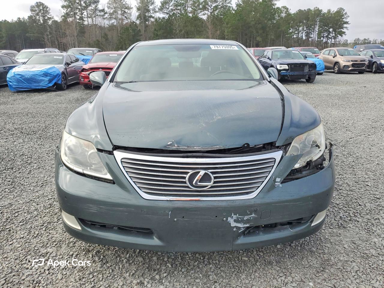 Lexus LS 2008