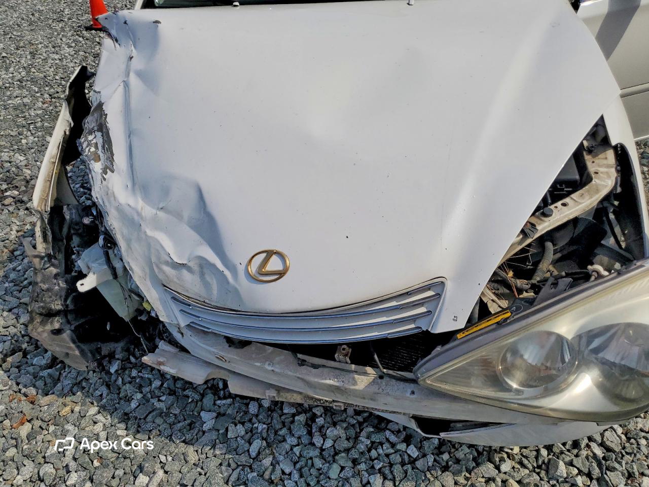 Lexus  2004