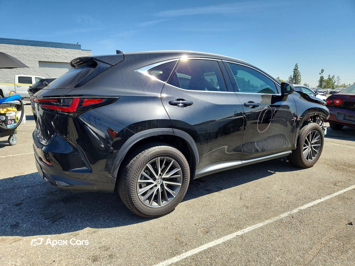 Lexus NX 2024