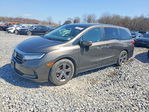 Honda Odyssey 2021